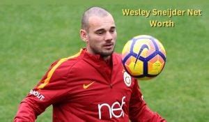 wesley sneijder salary